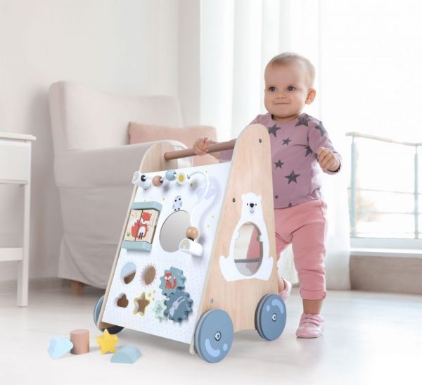 Wooden Educational Pusher - Image 5